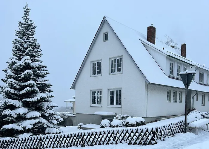 Daire Harzburgliving Goethe's Ausblick *